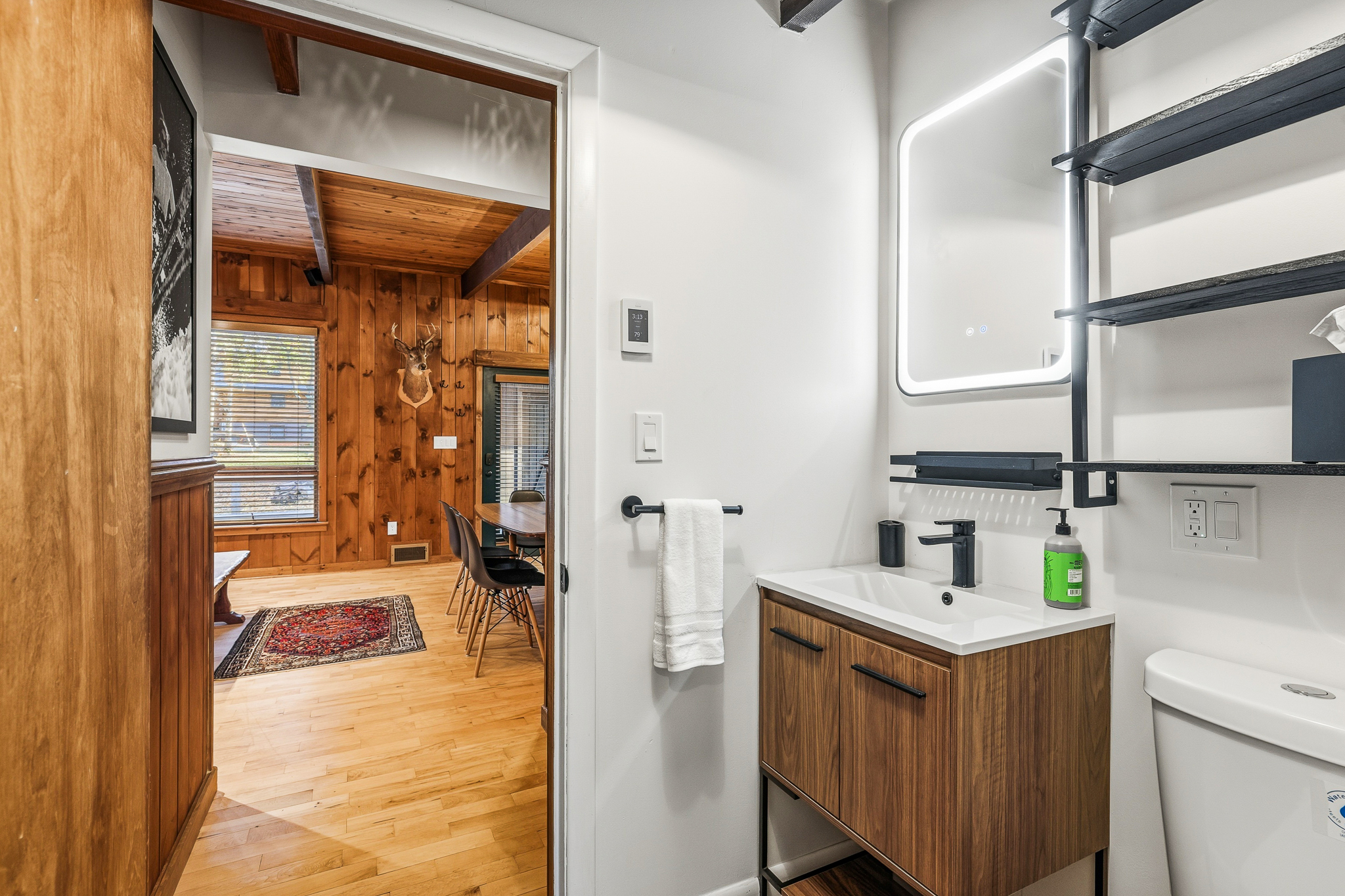 Bathroom 1 — vanity